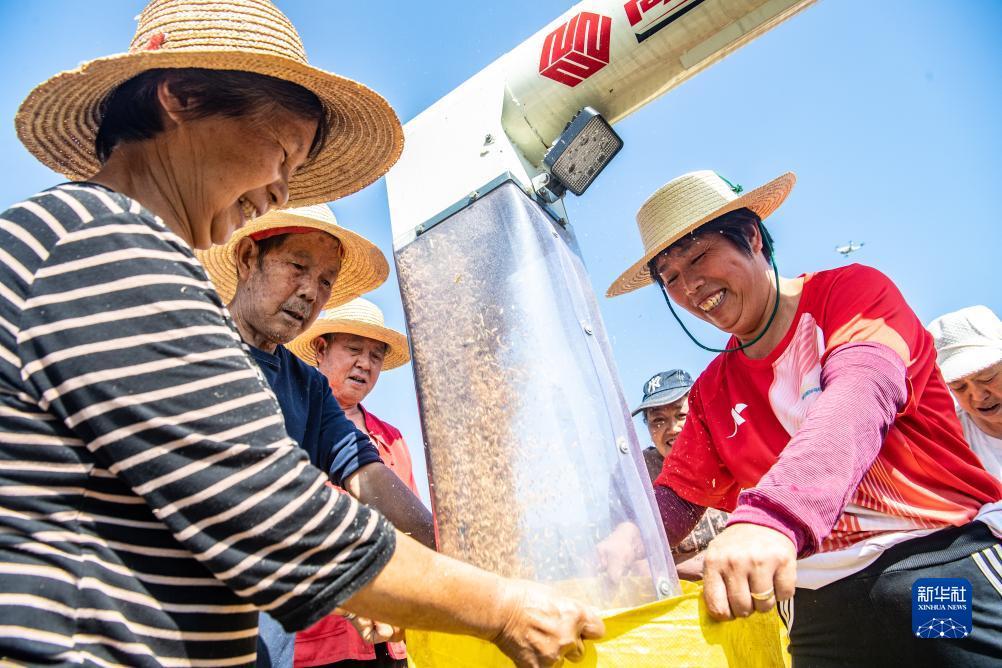 牛牛金花游戏app